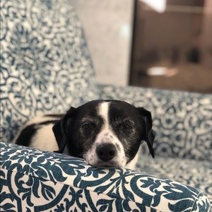 Meet your Posher, Shawn